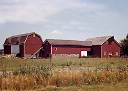 Barns at 'Home Farm' in 1964