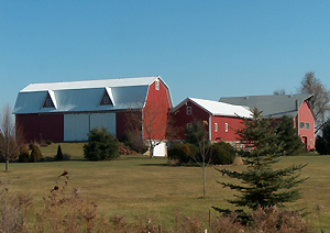 Barns at 'Home Farm' today